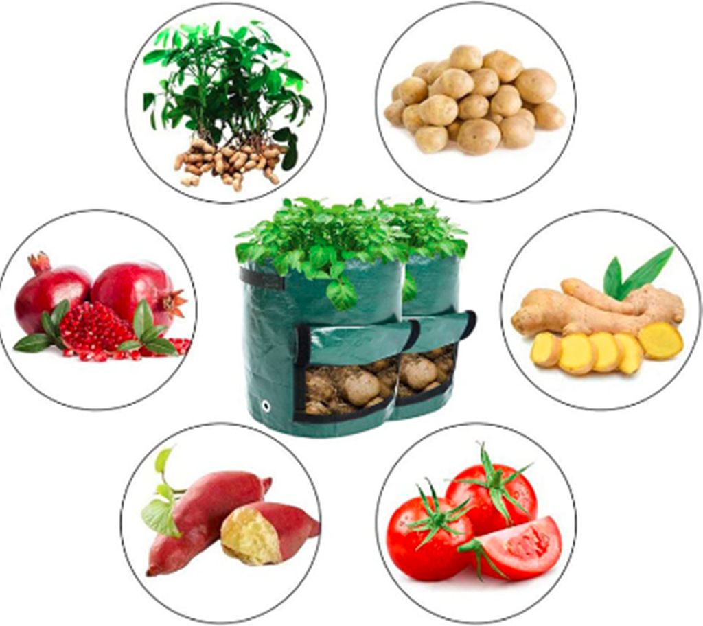 5 kusů pytlů na rostliny brambory rajčata arašídy 5galonový Obrázek produktu 3