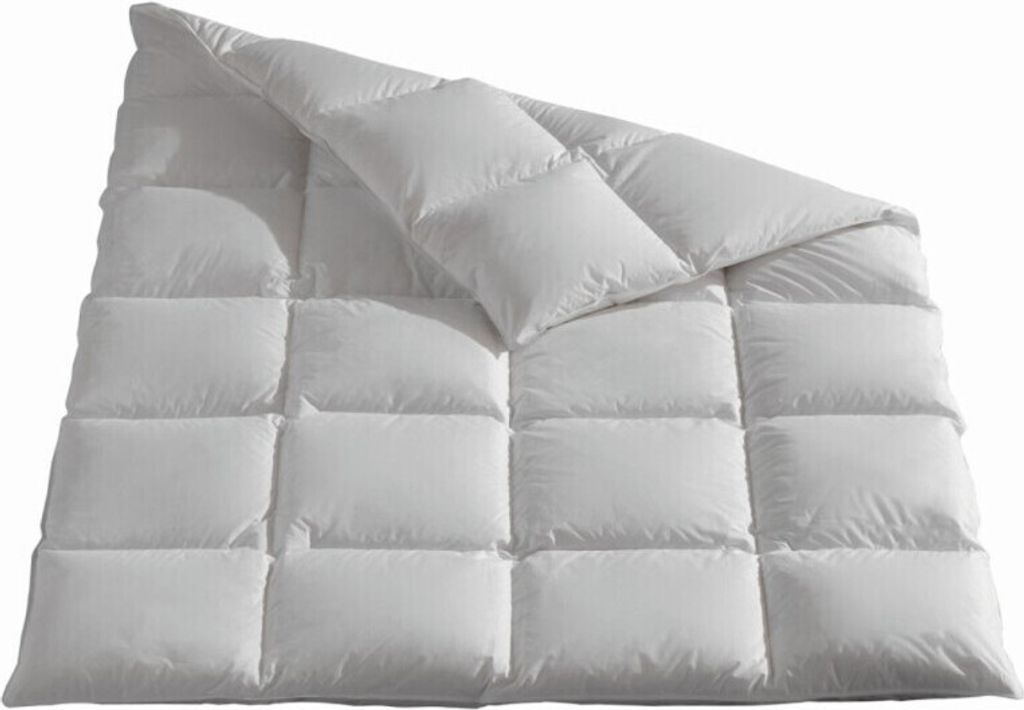 Häussling Königstraum Kassettenbett extra warm Daunen/Federn 155x220 cm