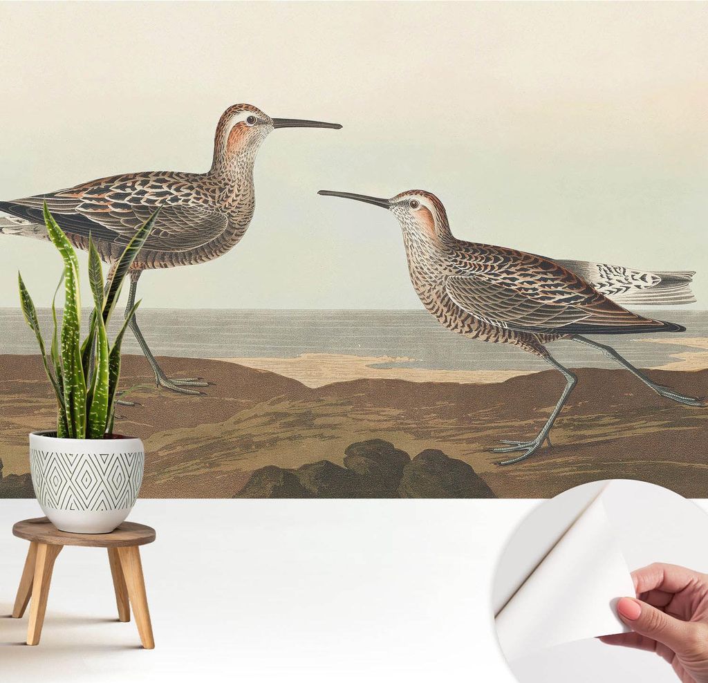 Fototapete selbstklebend - 208x146 cm - Tapete - Wandtapete - Wandbilder - Klebefolie - Dekofolie - Tapete Folie - Wand - Dekoration - Wohnzimmer -...