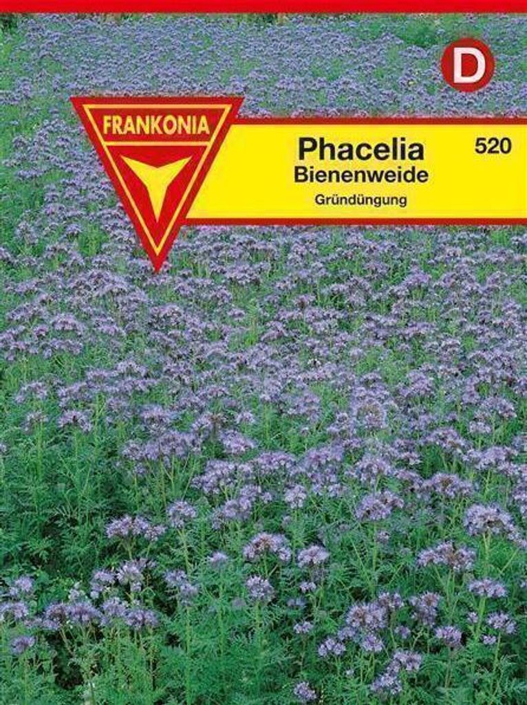Phacelia Bienenweide Produktbild 