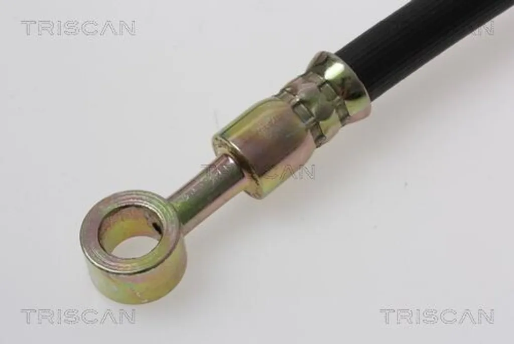 Flexible de frein TRISCAN F10x1 avec raccord banjo pour KIA CARENS 1