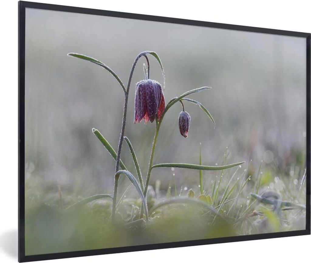 MuchoWow MuchoWow Gerahmtes Poster Gefroren - Eiscreme - Blumen 90x60 cm - Poster mit zchwarzem Bilderrahmen - Fotorahmen - Foto-Plakat