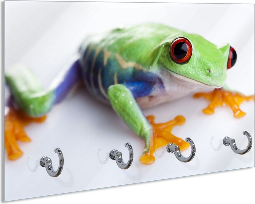 Wallario Schlüsselbrett aus Glas, Motiv: Lustiger Frosch in grün und orange, 30 x 20 cm mit 4 Haken