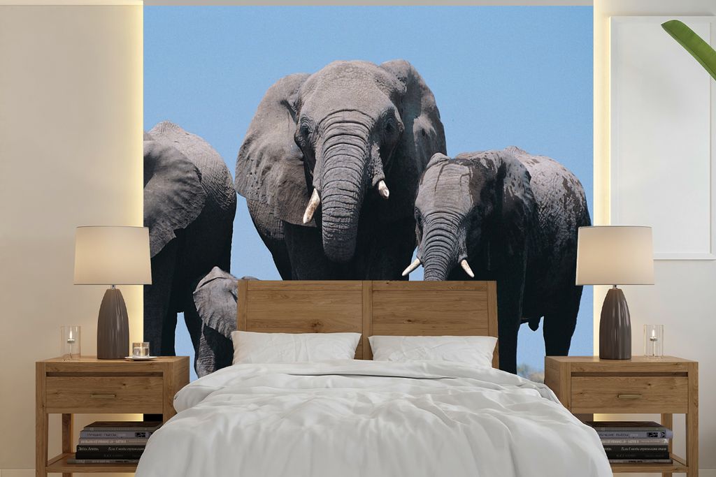 MuchoWow Fototapete für Wohnzimmer oder Schlafzimmer Wandtapete Vinyl Motivtapete Vier Elefanten unter einem blauen Himmel - 300x300 cm - Wandde...