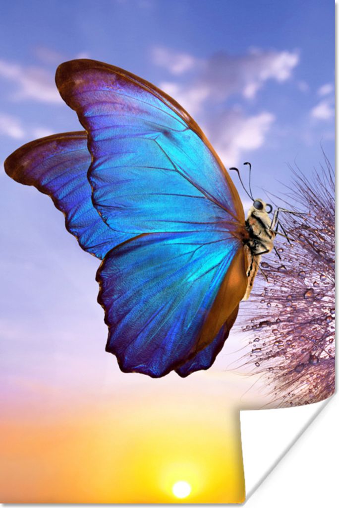 MuchoWow Poster Schmetterling - Sonnenuntergang - Löwenzahn - Blau 20x30 cm - Papierdruck