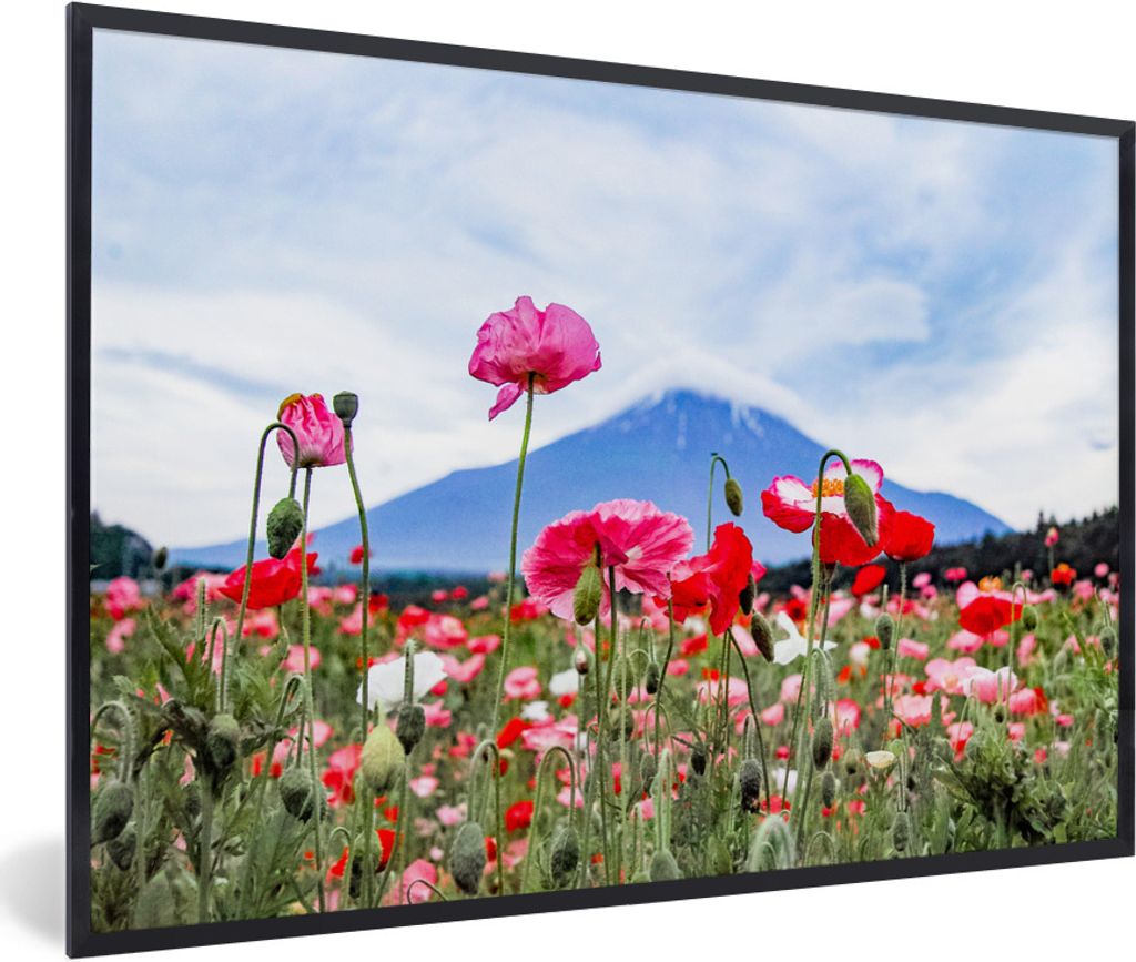 MuchoWow Gerahmtes Poster Rosa Mohnblumen für einen Berg 90x60 cm - Poster mit Schwarzem Bilderrahmen Wandposter Rahmen Foto Bilder - Fotorahmen...