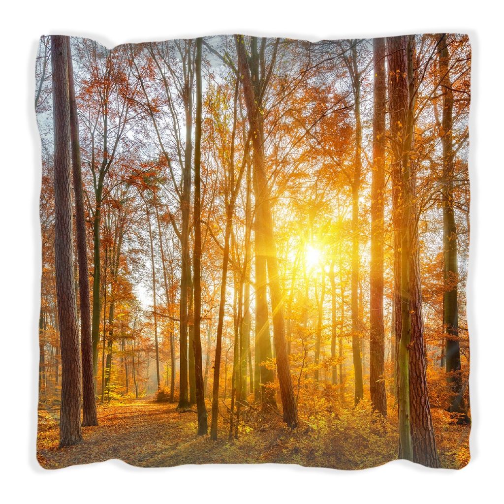 Wallario Premium Kissen, weiche Oberfläche, mit Motiv Sonnenuntergang im herbstlichen Wald, Größe: 60 x 60 cm, mit weißer Rückseite