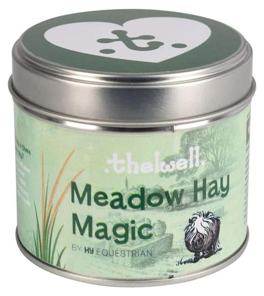 Hy - Duftkerze "Meadow Hay Magic" TL7577 (250 ml) (Grün)