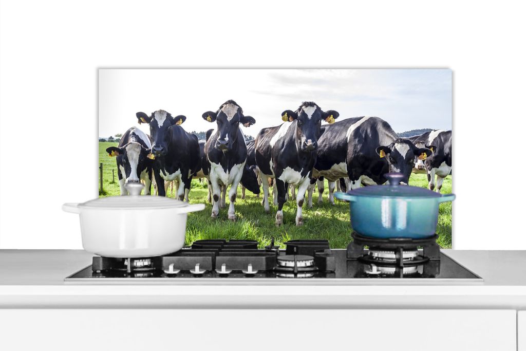 KitchenYeah Spritzschutz Küche - Küchenrückwand - Wandschutz für Herd und Spüle - Kühe - Licht - Frühling 80x40 - Alu-Dibond (Alternative ...