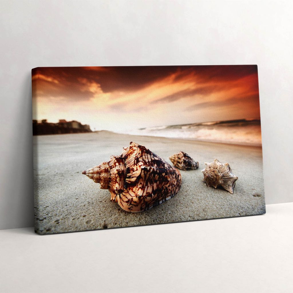 Muschel am Strand – Leinwandbild Wandbild – 60x40 cm – Leinwandbilder – Wandbilder – Schlafzimmer – Flur