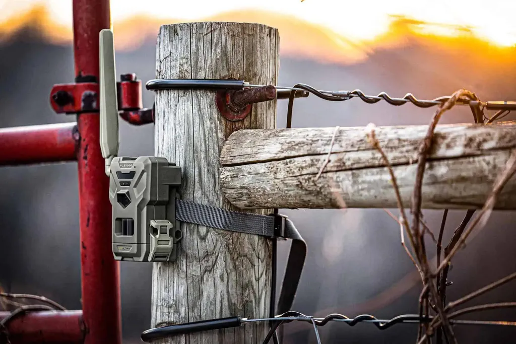 Spypoint FLEX-M Wildkamera Pack de 4 Caméras de Chasse Performance LTE