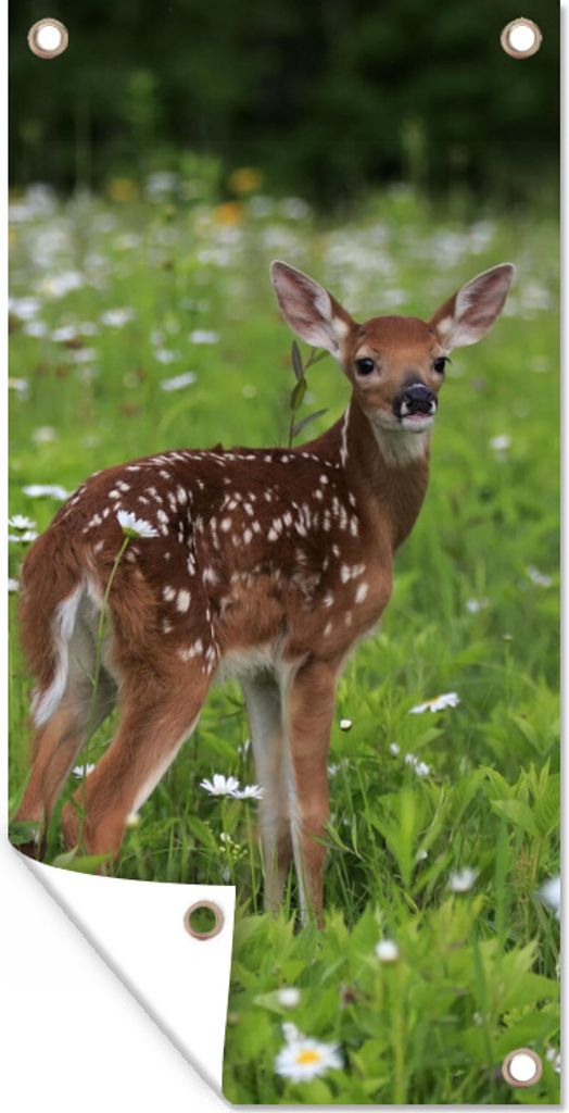 MuchoWow 30x60 cm Outdoor-Poster Gartendeko Sichtschutz Garten Poster für den Garten Hirsche - Blumen - Wald