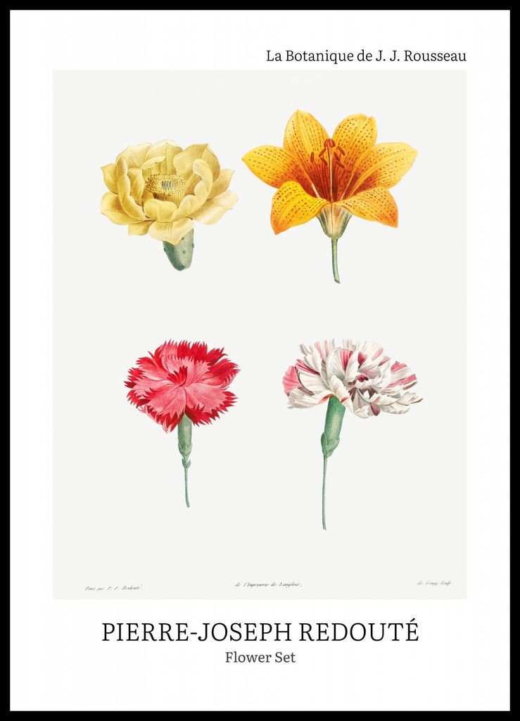 Plakat 50x70cm Design Flower Set, Redoute Vintage für das Wohnzimmer