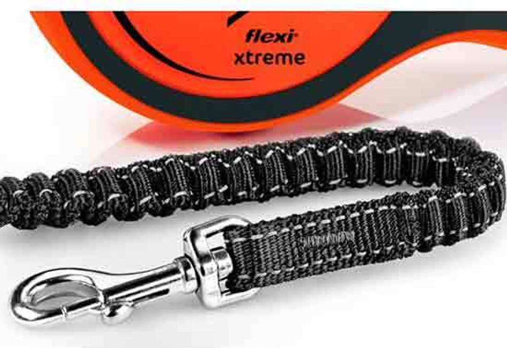 Flexi Rollleine XTREME Gurt - 8m / bis 55 kg Produktbild 3