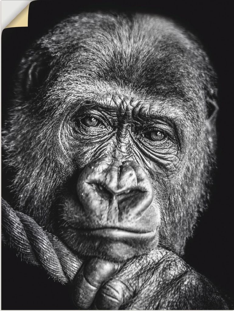 ARTland Wandbild, selbstklebend Gorilla Größe: 45x60 cm