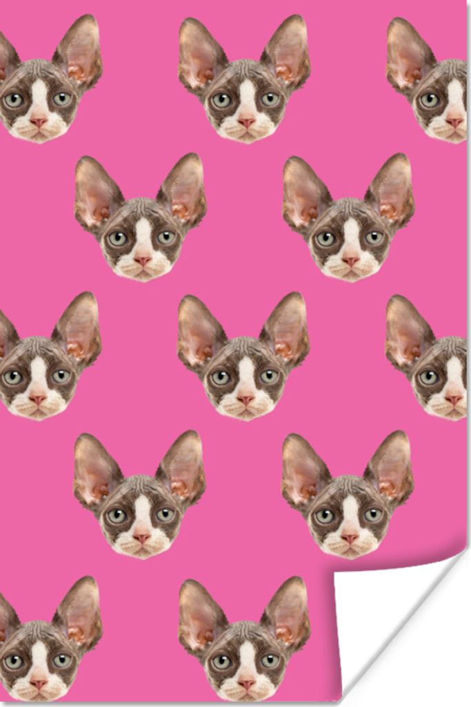 MuchoWow Poster Katze - Rosa - Muster 60x90 cm - Wanddekoration
