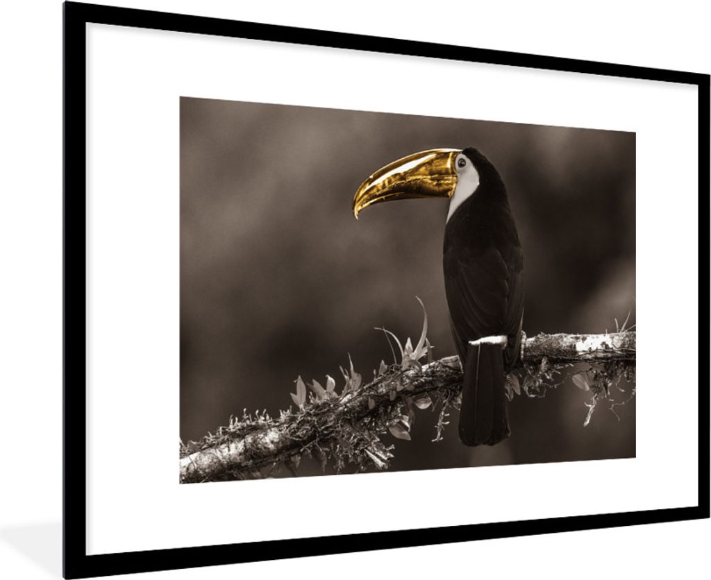 MuchoWow Gerahmtes Poster Vogel - Tukan - Gold - Schwarz 90x60 cm - Poster mit Schwarzem Bilderrahmen Wandposter Rahmen Foto Bilder - Wanddekorat...