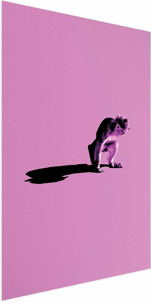 Posterpapier Poster - Little Monkey 29.7x42 cm Tiere g-C-0116-ao-a