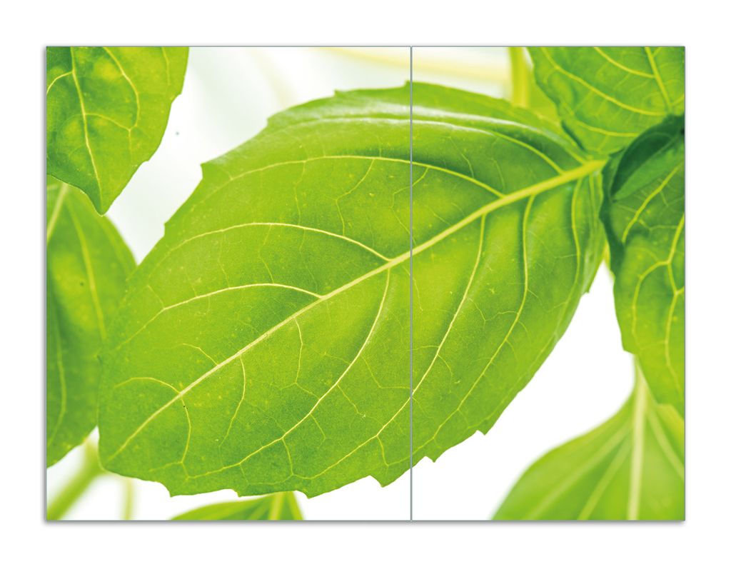 Wallario Herdabdeckplatte aus Glas, Größe 70 x 52 cm 2-teilig, Motiv Frische Basilikumblätter