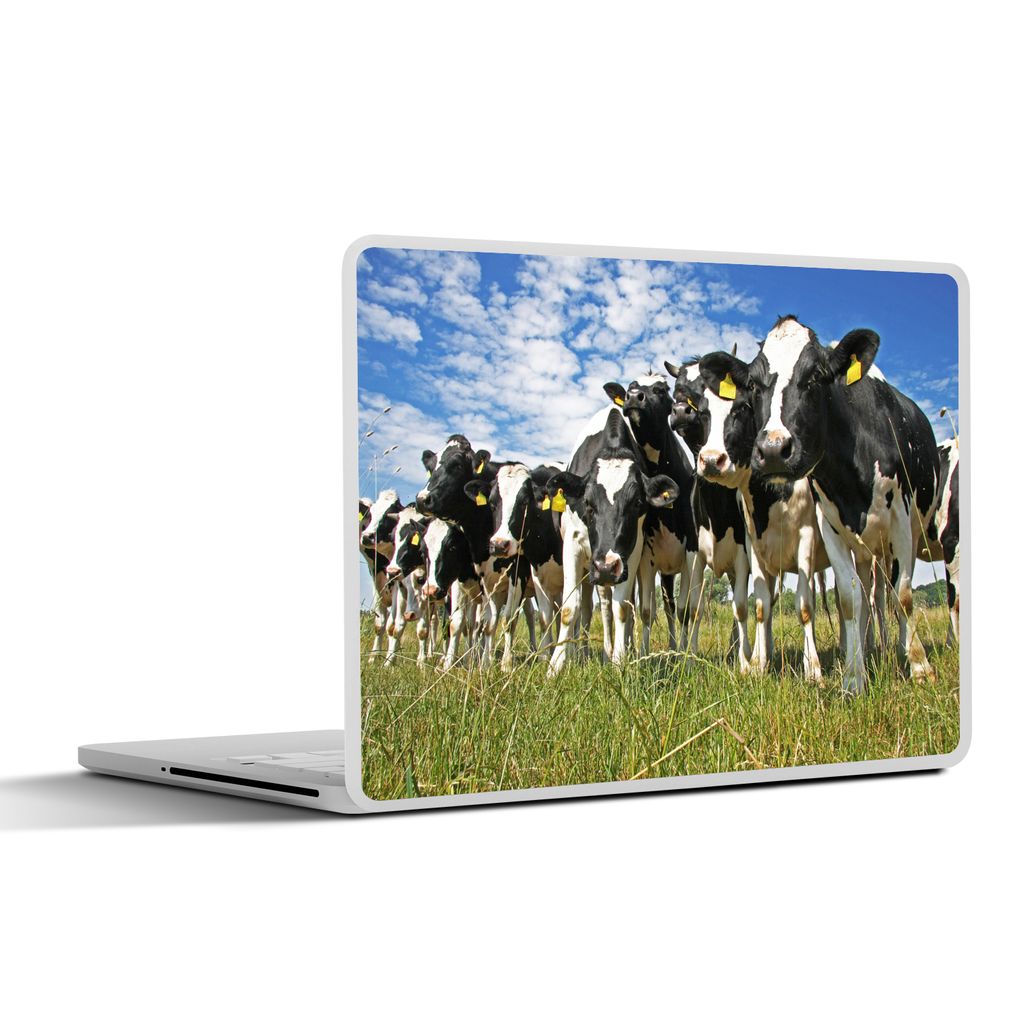 MuchoWow Laptop Aufkleber Sticker Cover Kühe - Gras - Wiese - Tiere 25x18 cm - Laptop-Deko