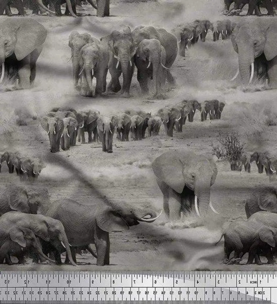 Tissu popeline de coton gris à motifs animaux de forêt en 140cm