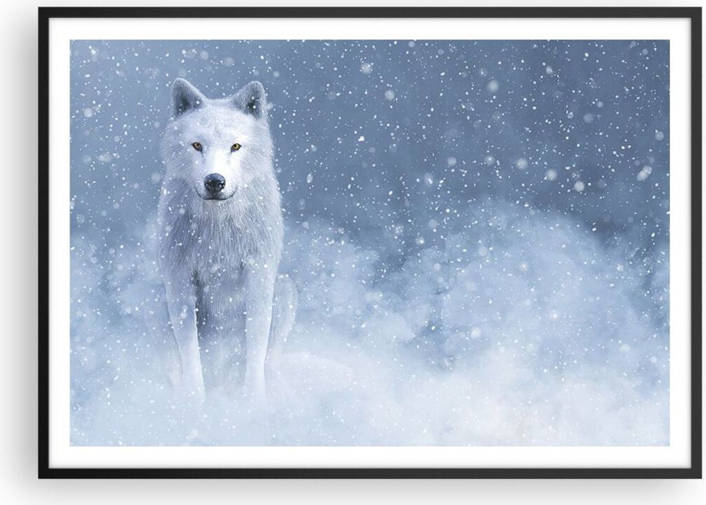 Gerahmtes Poster - Schwarzer Rahmen - Weiß Wolf Schnee - Produktbild 