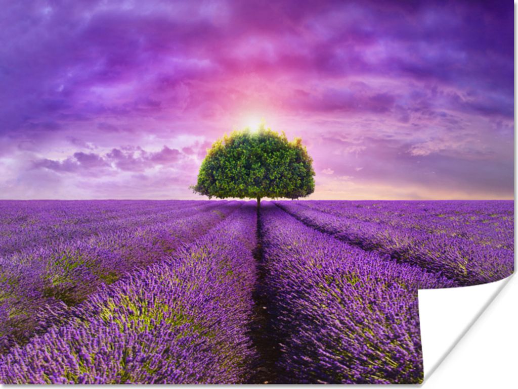 MuchoWow Poster Lavendel - Baum - Lila - Wolken 40x30 cm - Plakate für die Wände - Poster Wohnzimmer