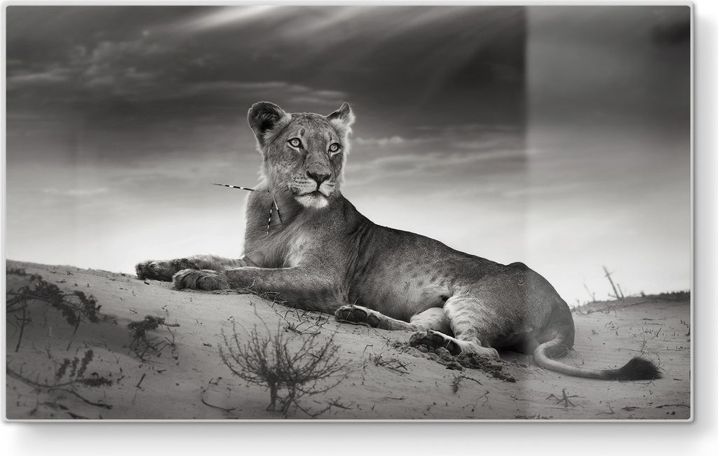 DEQORI Frühstücksbrett Glas 23x14 cm 'König der Savanne' Schneidebrett Schneideplatte