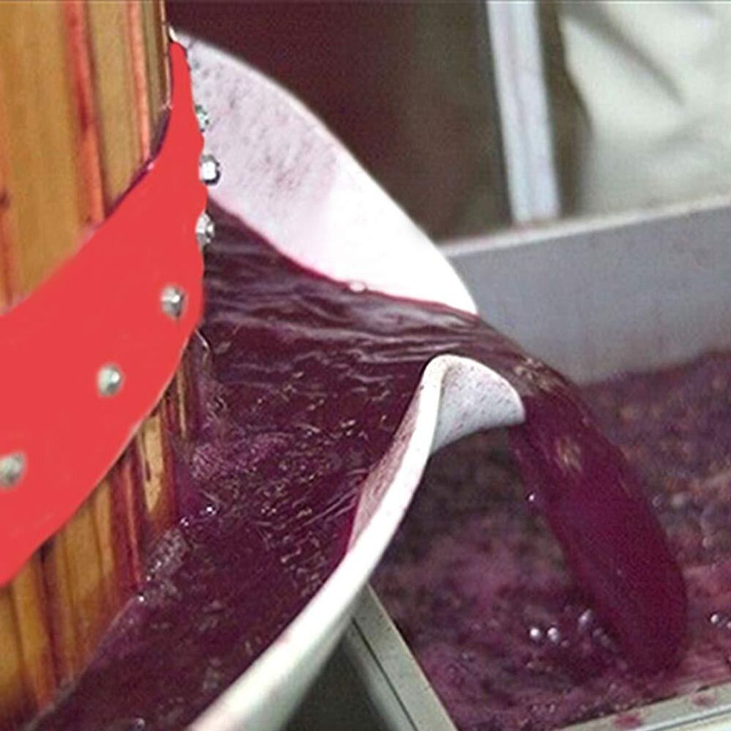 NAIZY Mlýnek na hrozny Lis na jablka Mlýnek na ovoce Lis na Obrázek produktu 6