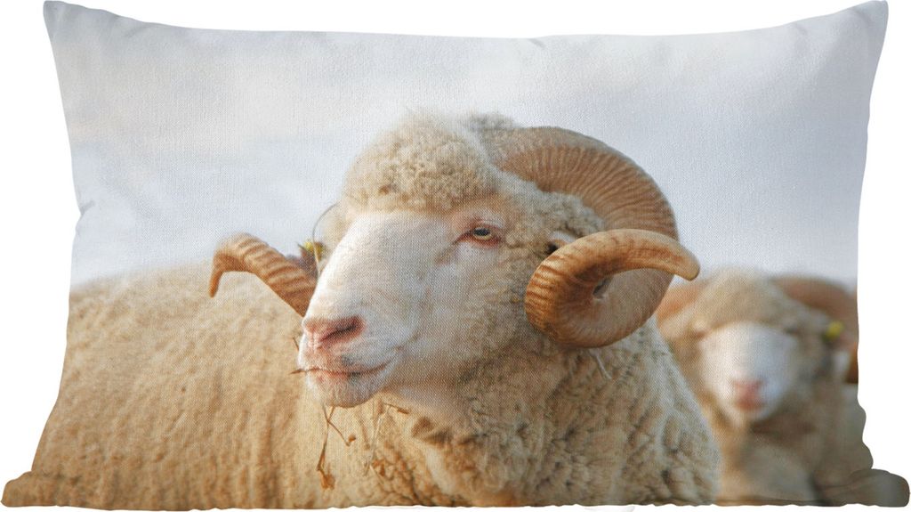 MuchoWow Zierkissen Sofakissen Wohnzimmer Dekokissen 50x30 cm Schafe - Widder - Hörner - Wohnzimmerdekoration - Polster mit Photo