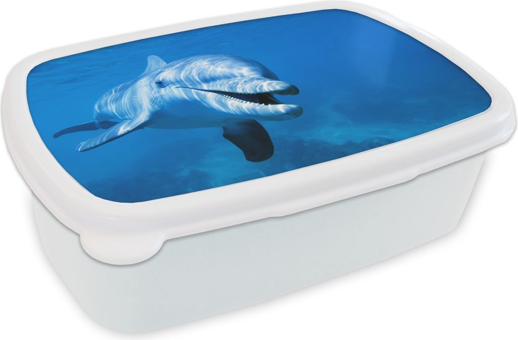 KitchenYeah Lunchbox Brotzeit Brotdose 17x11 cm Delfin - Wasser - Meer Kinder Brotzeitdose - Lunch Box - Kinder - Sandwich-Box - Schulbox - Lunch...