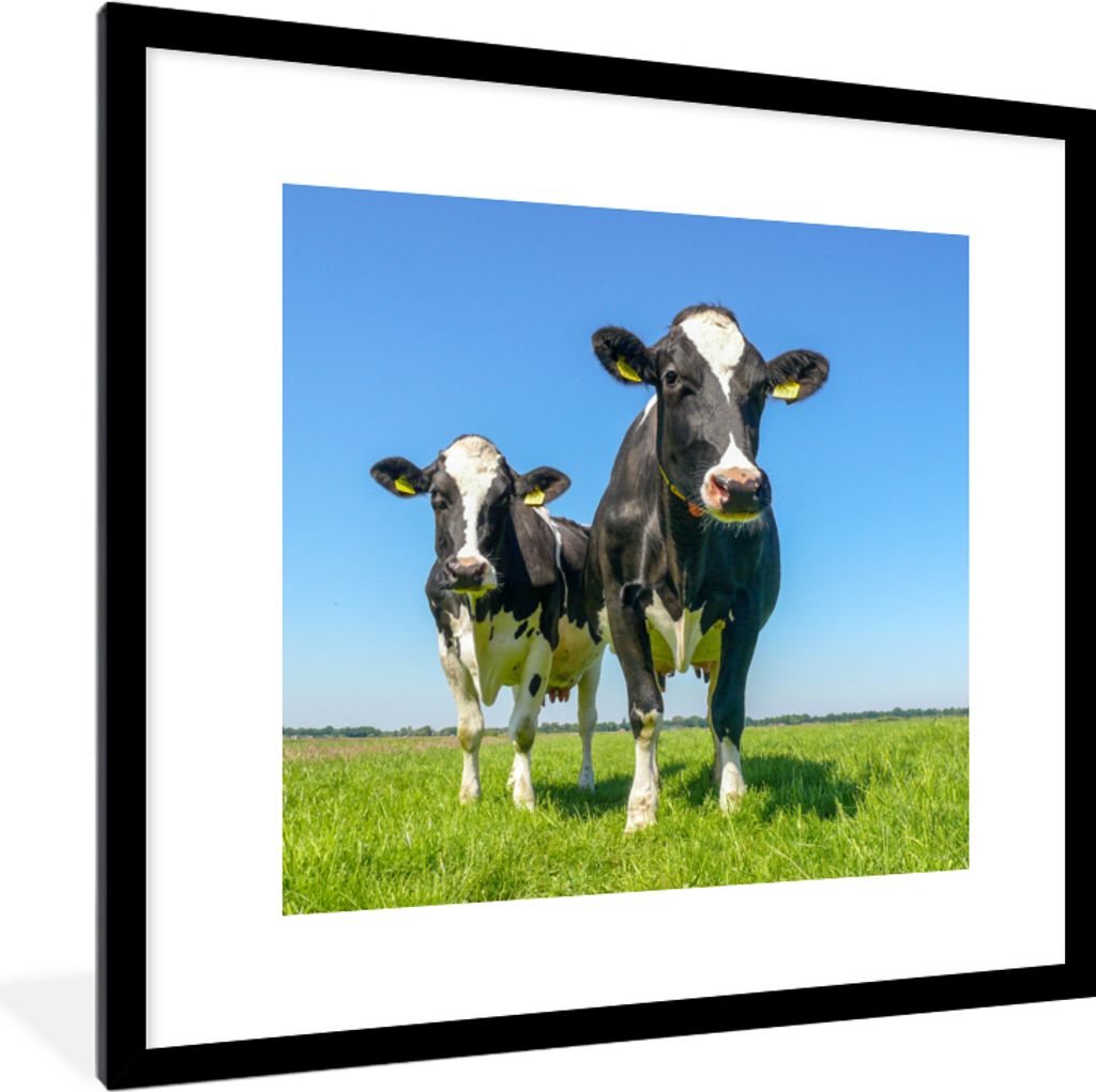 MuchoWow Gerahmtes Poster Kühe - Weide - Tiere - Bauernhof 40x40 cm - Poster mit Schwarzem Bilderrahmen Wandposter Rahmen Foto Bilder - Poster -...