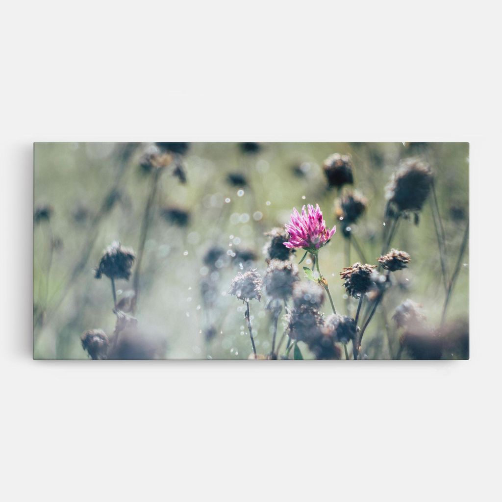 ARTHUB Leinwandbild 40x80 cm, Dreamy Purple Flower | Wohnzimmerdekoration, Hängende Bilder, Wanddekoration, Heimdekoration, Blumen, Blumen in de...