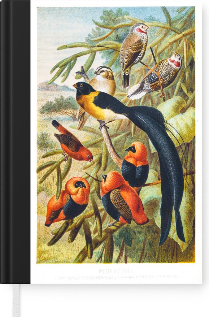 MuchoWow Notizbuch Tagebuch Haushaltsbuch Notebook A5 Antiker Vogeldruck Vögel in Harmonie - Notizblock - Notizheft - Notebook - Schreibblock - ...