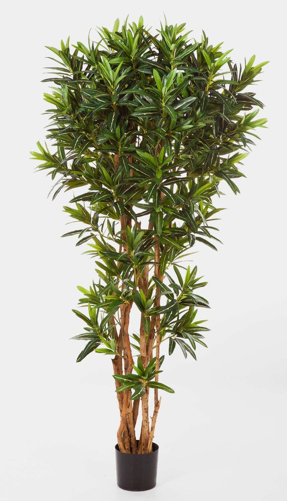 artplants.de Künstlicher Goldfinger Croton Baum, 1940 Blätter, 180cm - künstlicher Baum - Kunstpflanzen