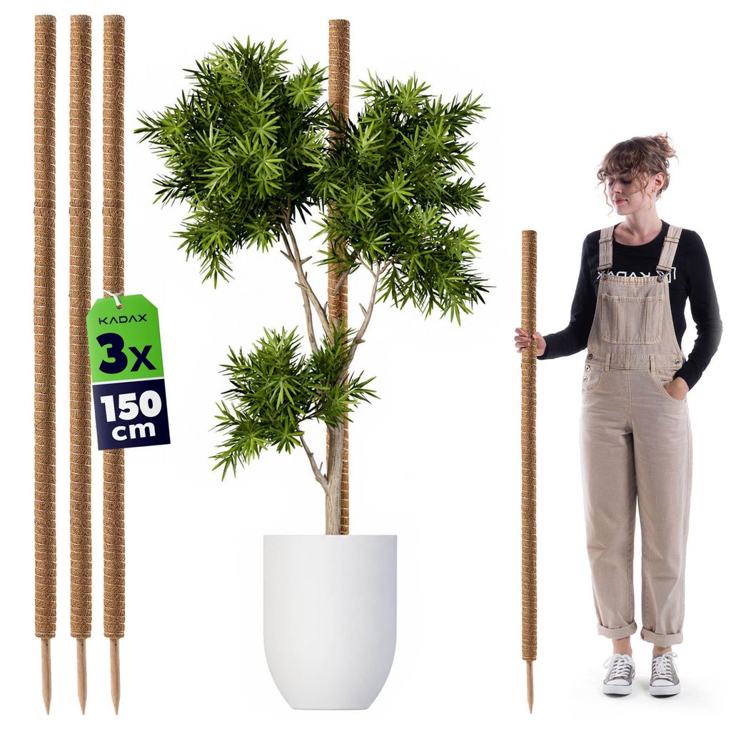 KADAX Kokosstab 150cm für Zimmerpflanzen, 3 Stück, Produktbild 