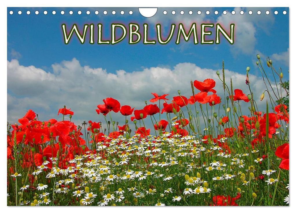 Wildblumen 2027 (Wandkalender 2027 DIN A4 quer), CALVENDO Monatskalender