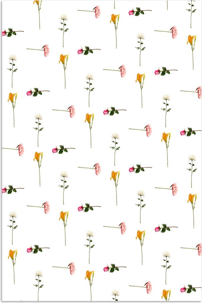 MuchoWow Poster Blumen - Flora - Farben 20x30 cm - Papierdruck