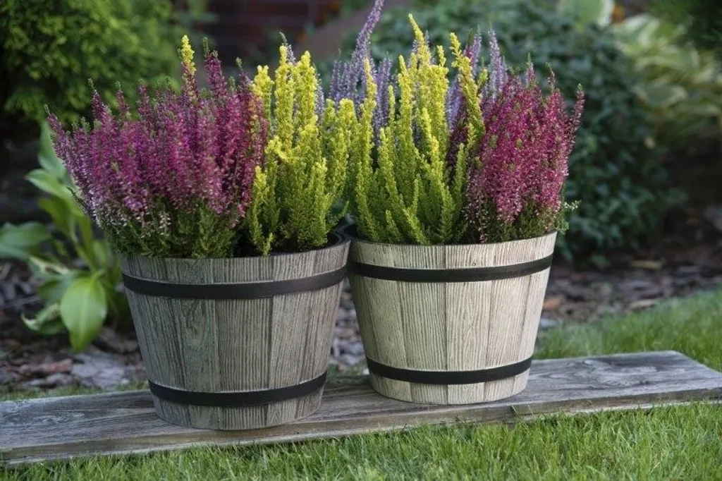 Cache-pot Design Sori 23 cm Marron Clair pour Plantes et Arbustes - 8