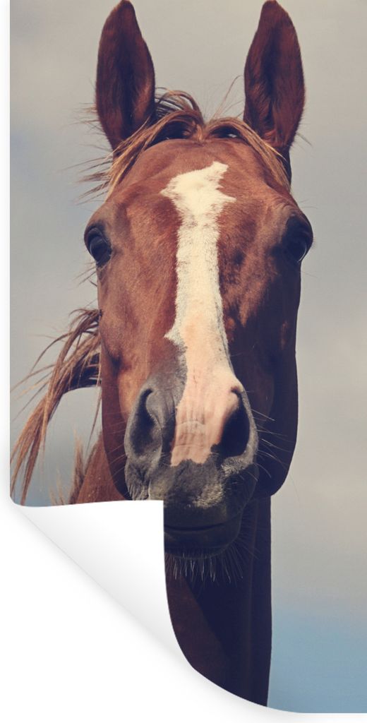 MuchoWow Wandtattoo Wandsticker Wandaufkleber Pferd - Luft - Blau 80x160 cm Selbstklebend und Repositionierbar - Sticker - Dekorfolie