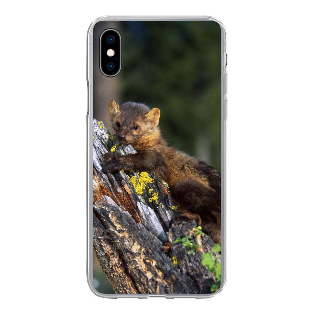 MuchoWow® Handyhülle Schutzhülle Hülle für iPhone Xs Marder Produktbild 