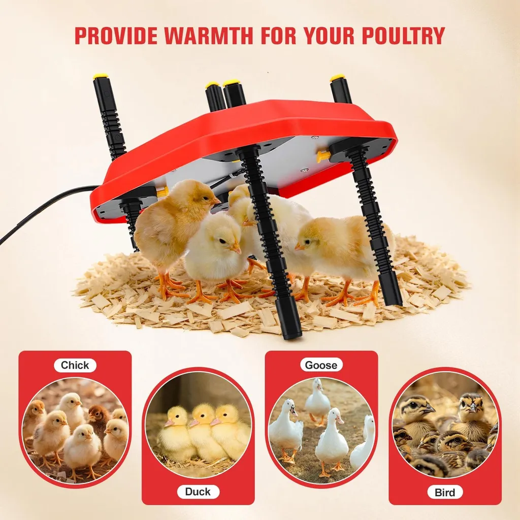 Éleveuse pour poussins réglable - Solution de chauffage pour couvoir 30W - 5