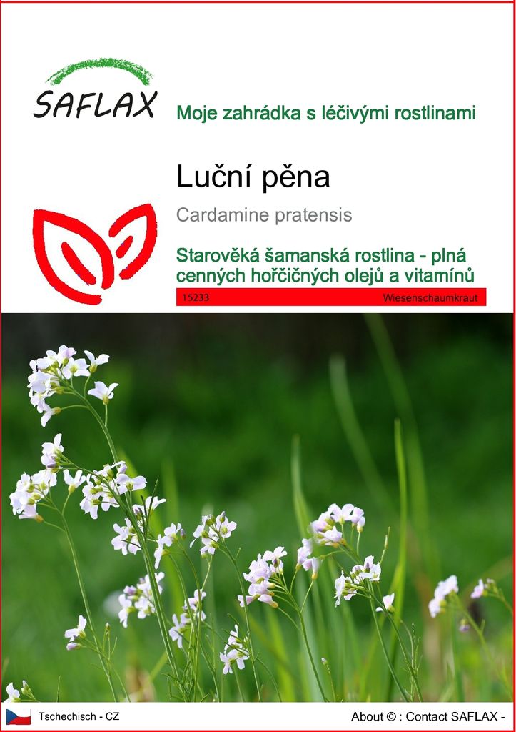 SAFLAX - luční pěna - Cardamine pratensis - 100 Semena Obrázek produktu 