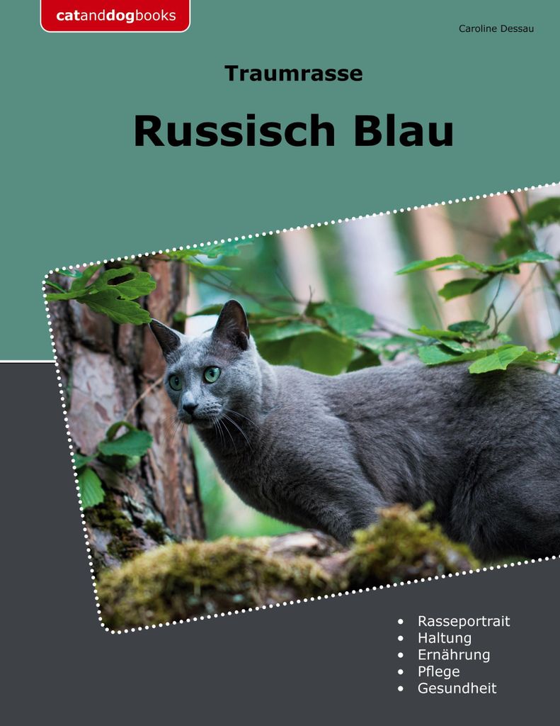 Traumrasse Russisch Blau, Deutsch, Taschenbuch, 174 Seiten