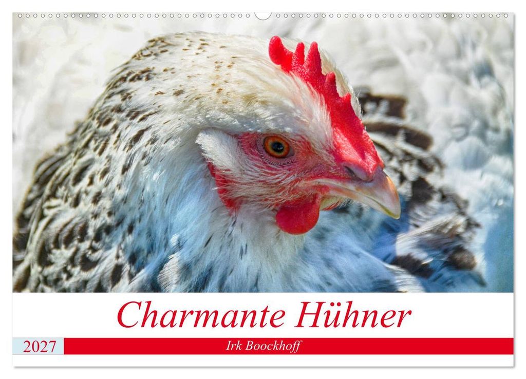 Charmante Hühner (Wandkalender 2027 DIN A2 quer), CALVENDO Monatskalender