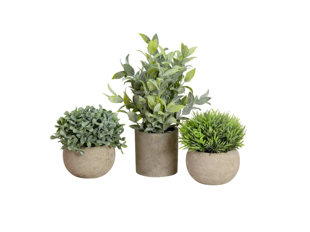 Fornitura Set 3 Piante EUROPALMS - Decorazione Professionale per Business