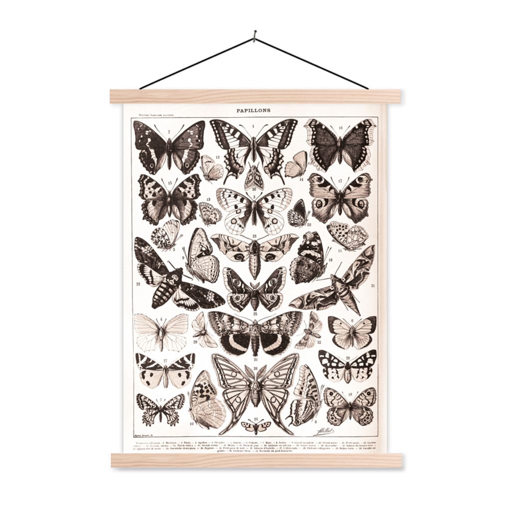 MuchoWow Textilposter Schmetterling - Tiere - Schwarz - Weiß 60x80 cm mit holzfarbenen Rahmen - Wandbild