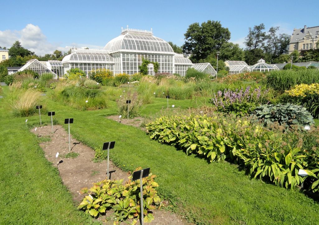 hansepuzzle 69556 - Botanischer Garten Puzzle, 260 Teile, Hintergründe, 41,0 x 28,0cm mit hochwertiger Aufbewahrung, Kartonbox & Beutel