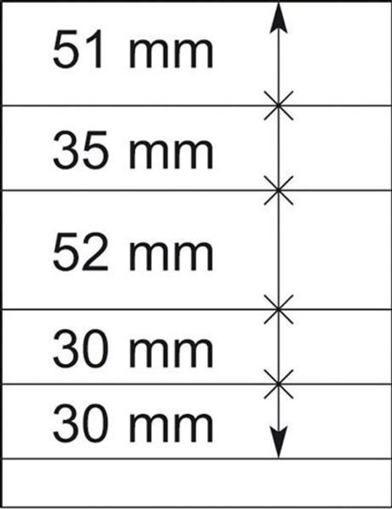 Lindner 802507P T-Blanko-Blätter - 10er-Packung