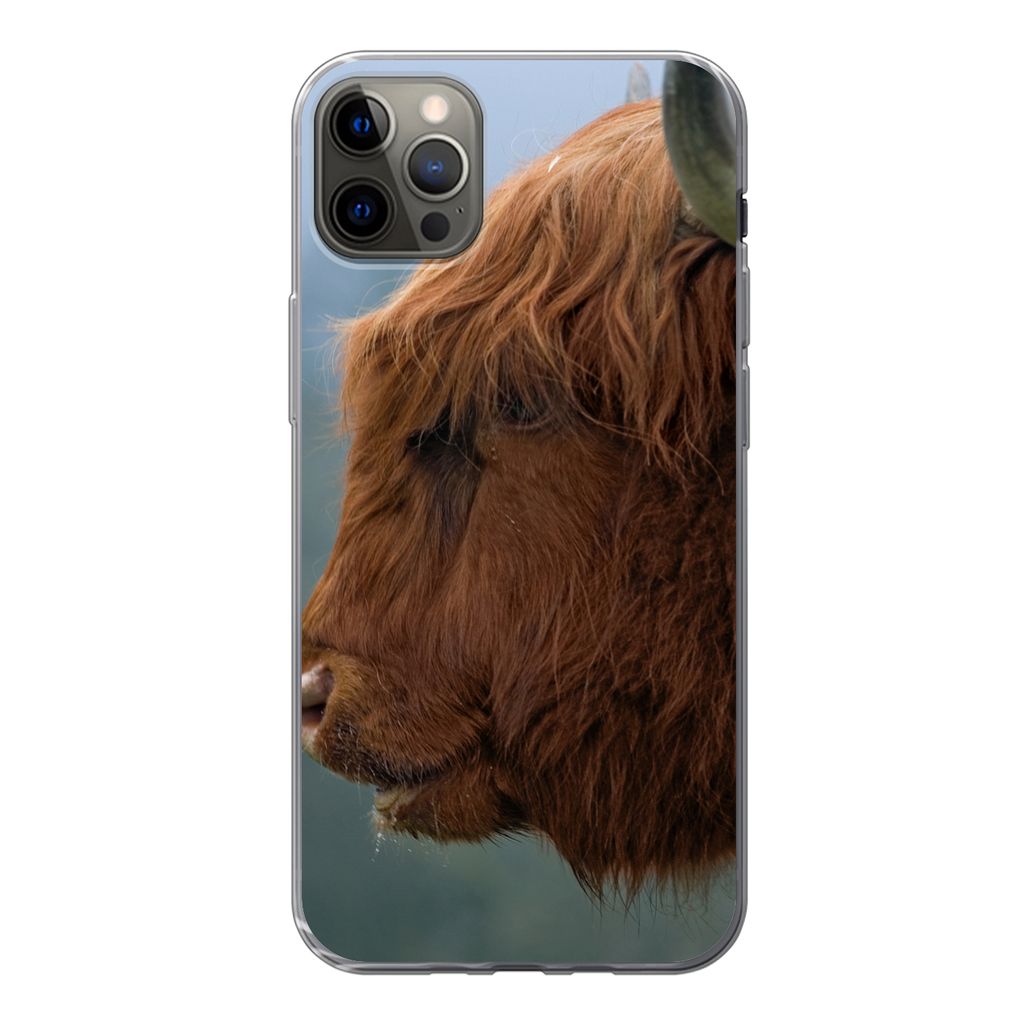 MuchoWow Handyhülle Schutzhülle Hülle für iPhone 12 Pro Max Schottische Highlander - Tiere - Nebel Silikon Softcase Handy Hülle - Hartschale
